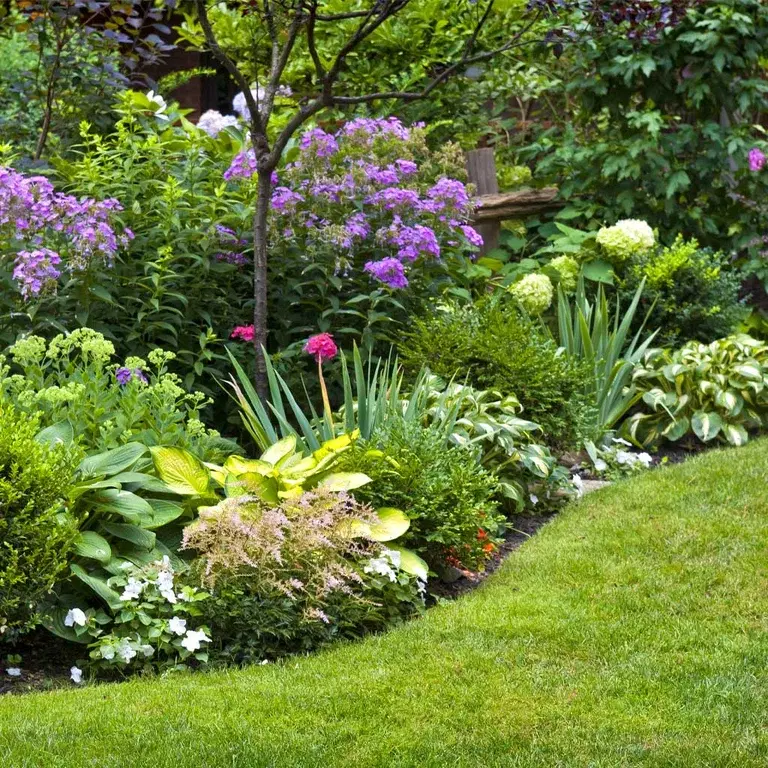 Flower beds – how to succeed