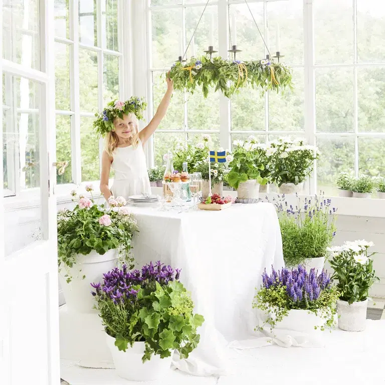 Skapa midsommaridyllen med blommor