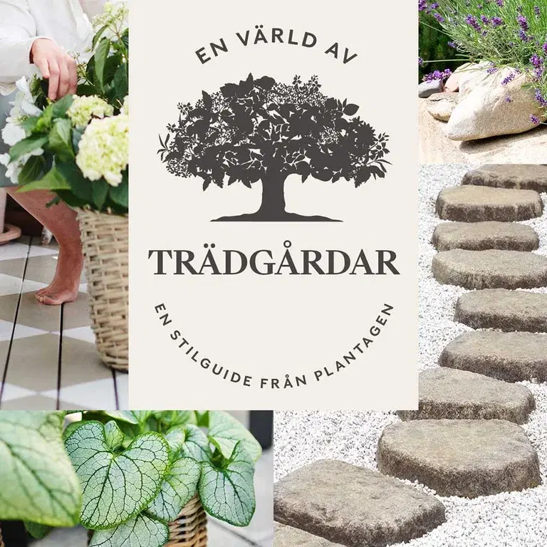 Följ med in i en värld av trädgårdar 