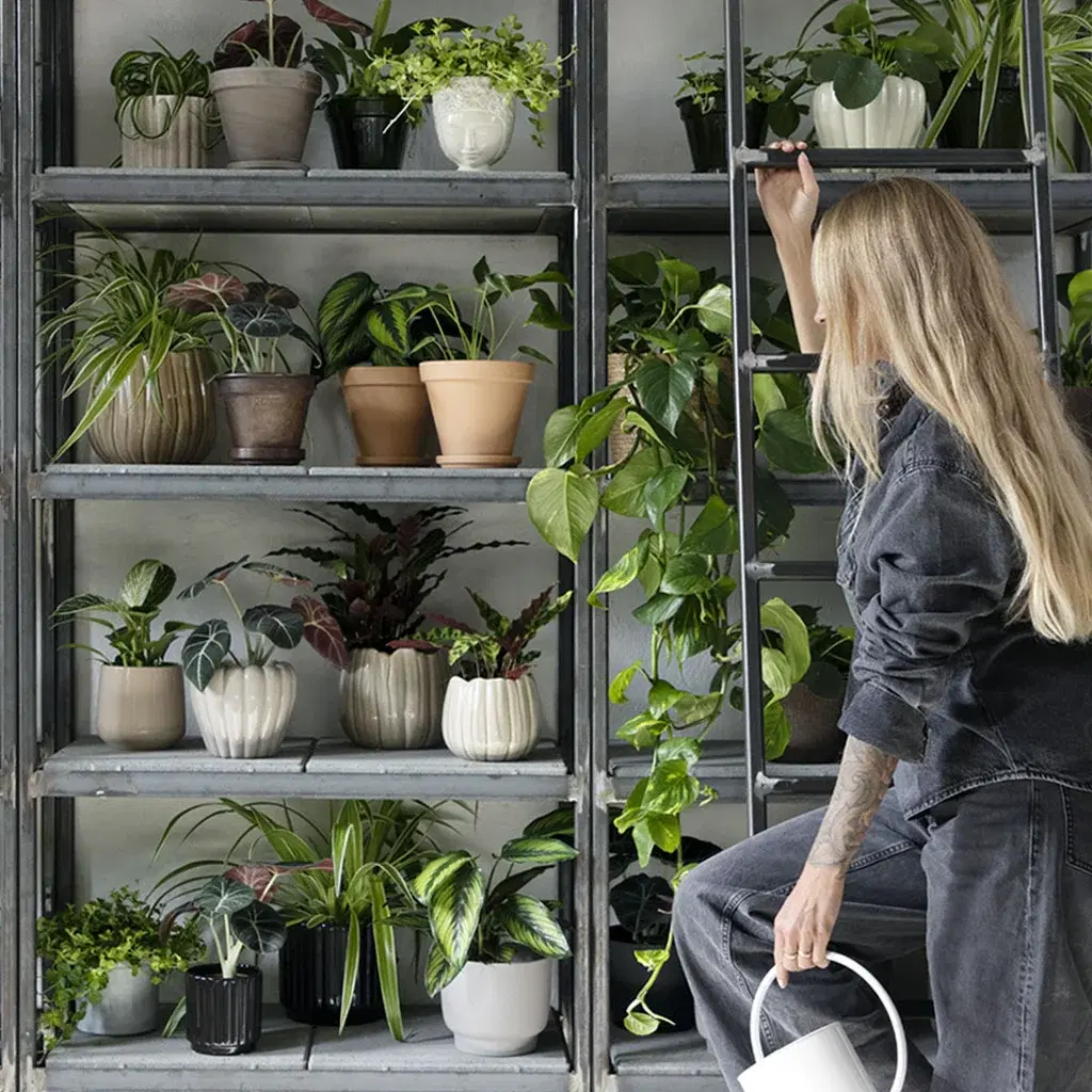 Få till helheten hemma – inred med krukor