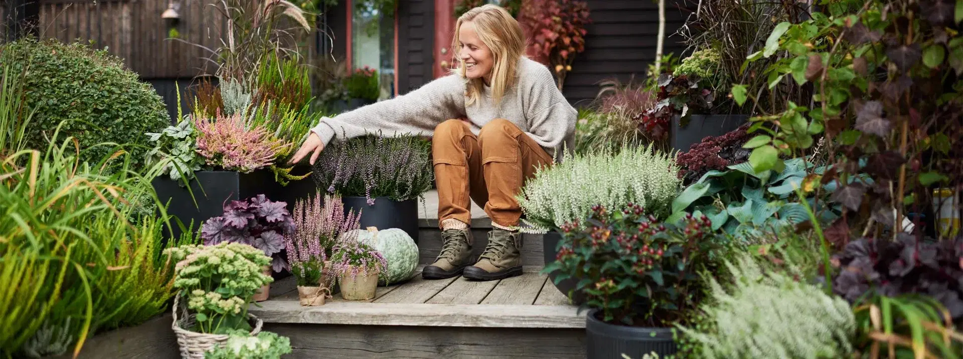 30% off all Mediterranean plants