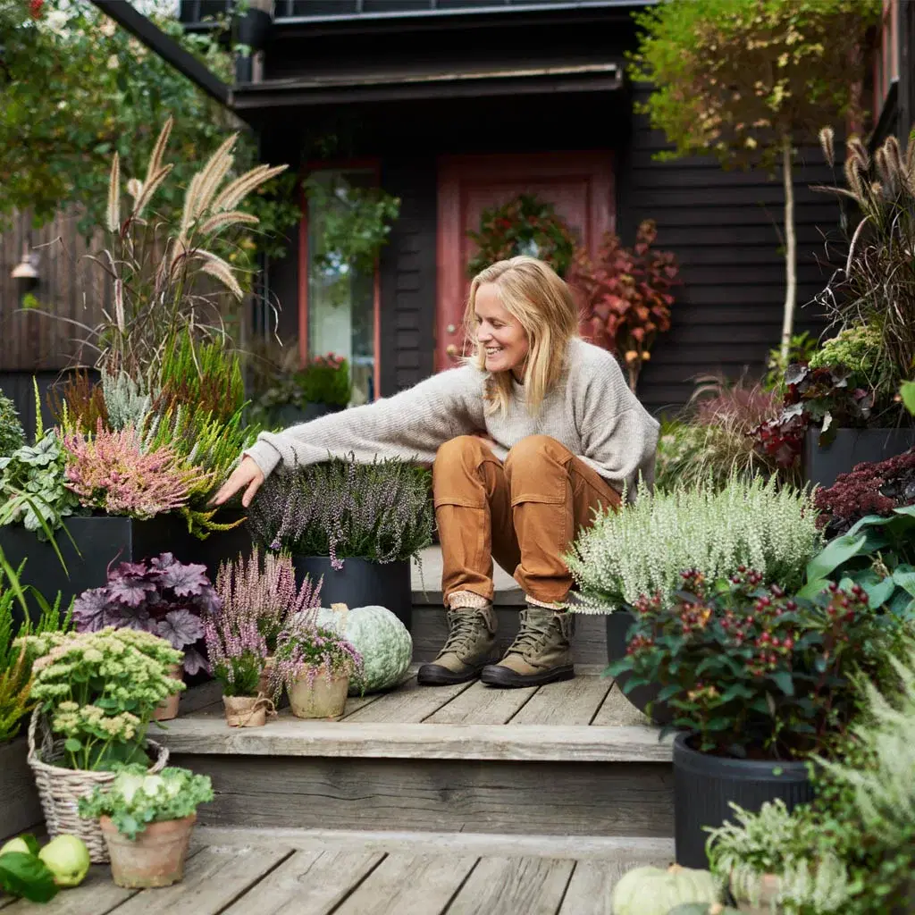 30% off all Mediterranean plants