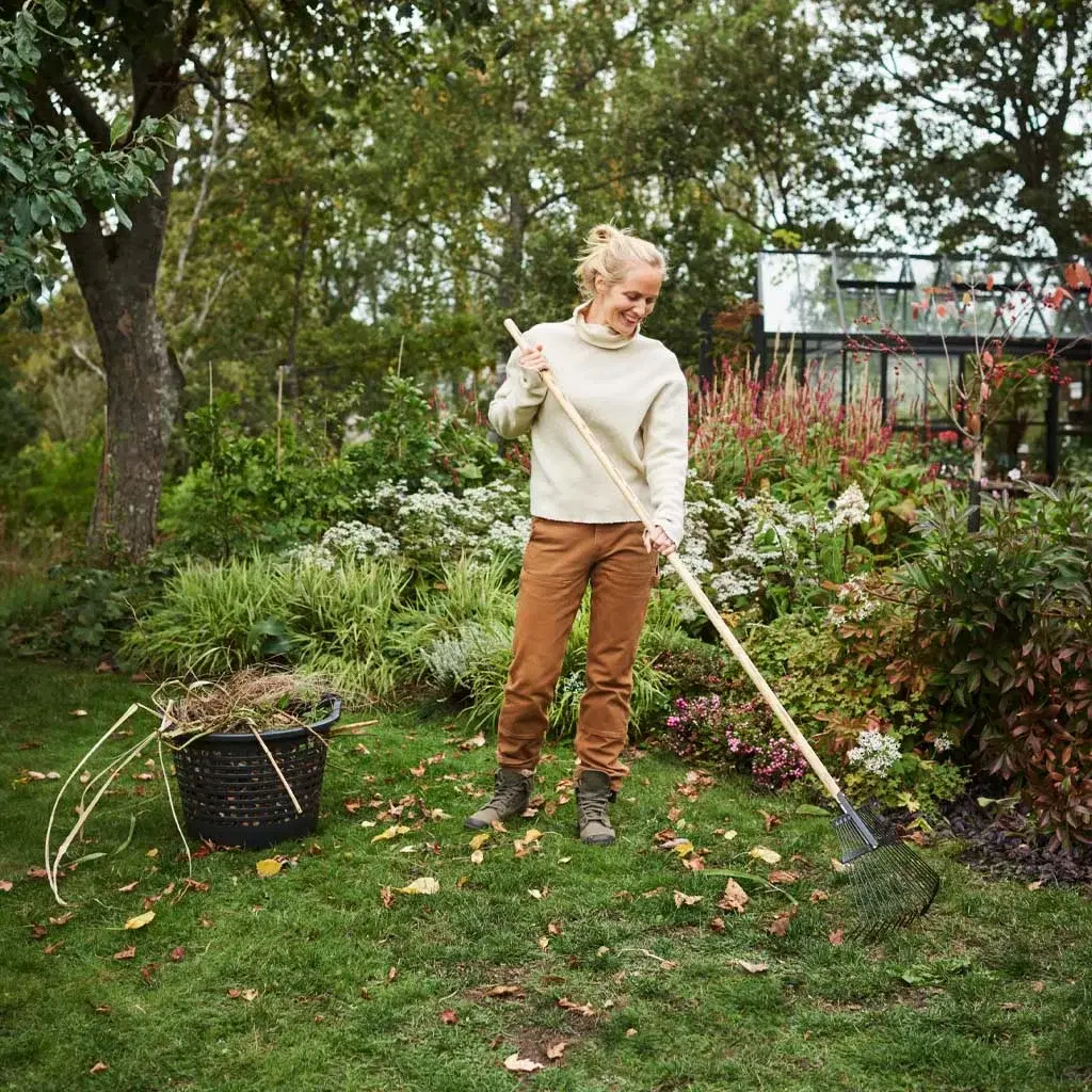 Trädgårdskalender för hösten – det här kan du göra i trädgården nu 