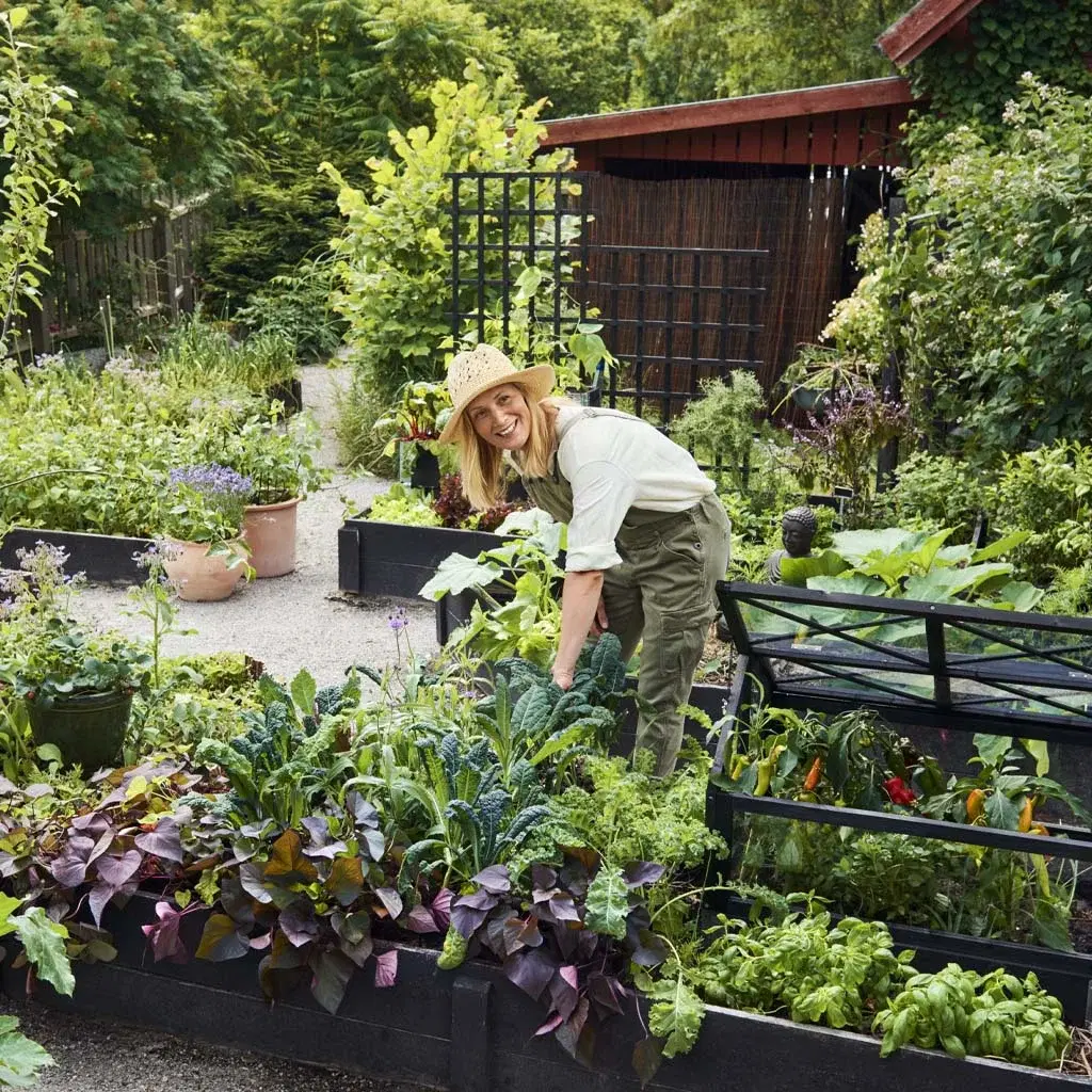 40% off all perennials in returnable pots