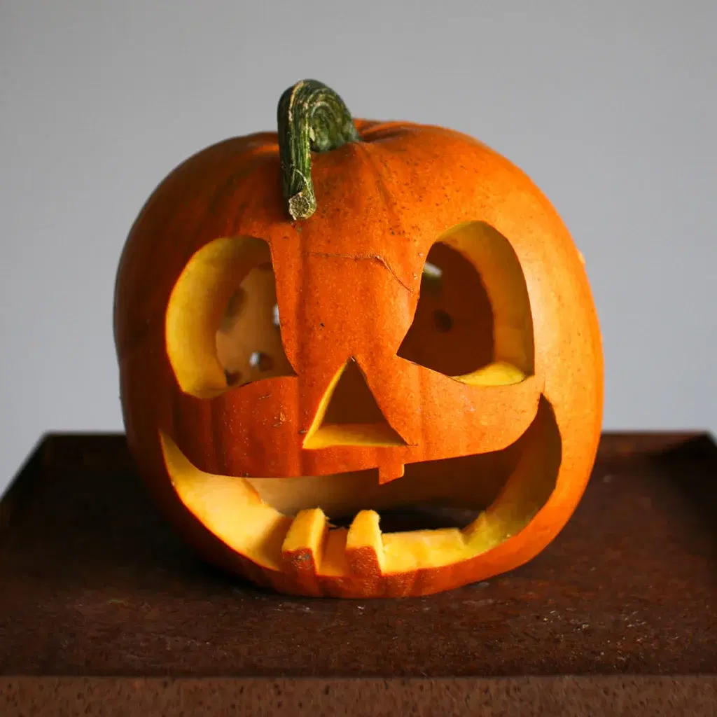 4. Skär ut mönstret