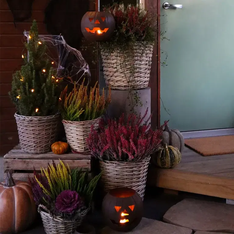 Halloween i trädgården – 6 enkla knep för att skrämmas (och imponera!)