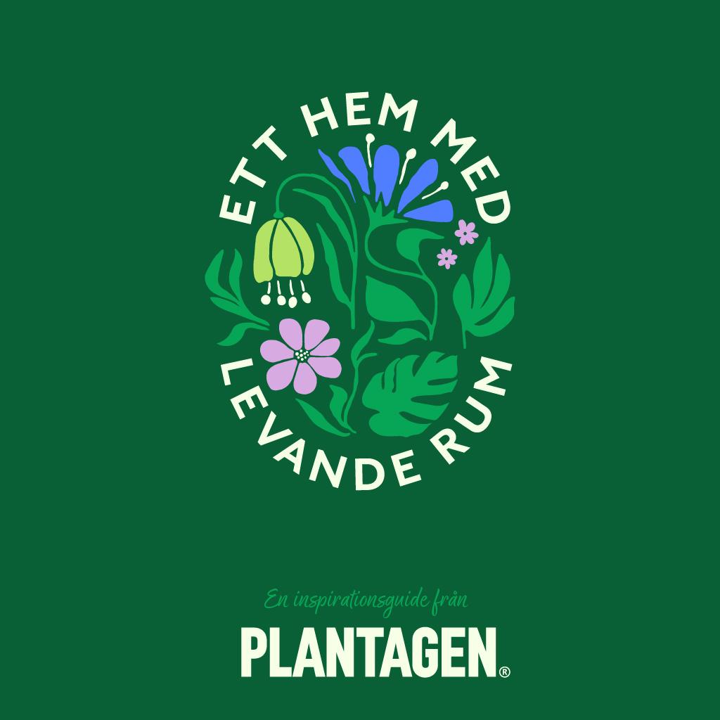 Detta är en bildillustration av  Ett hem med levande rum