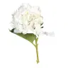 product variant