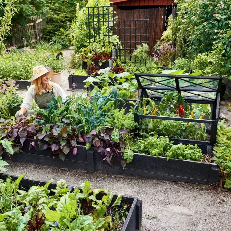 Odla KRAV-märkt du också – här är fördelarna 