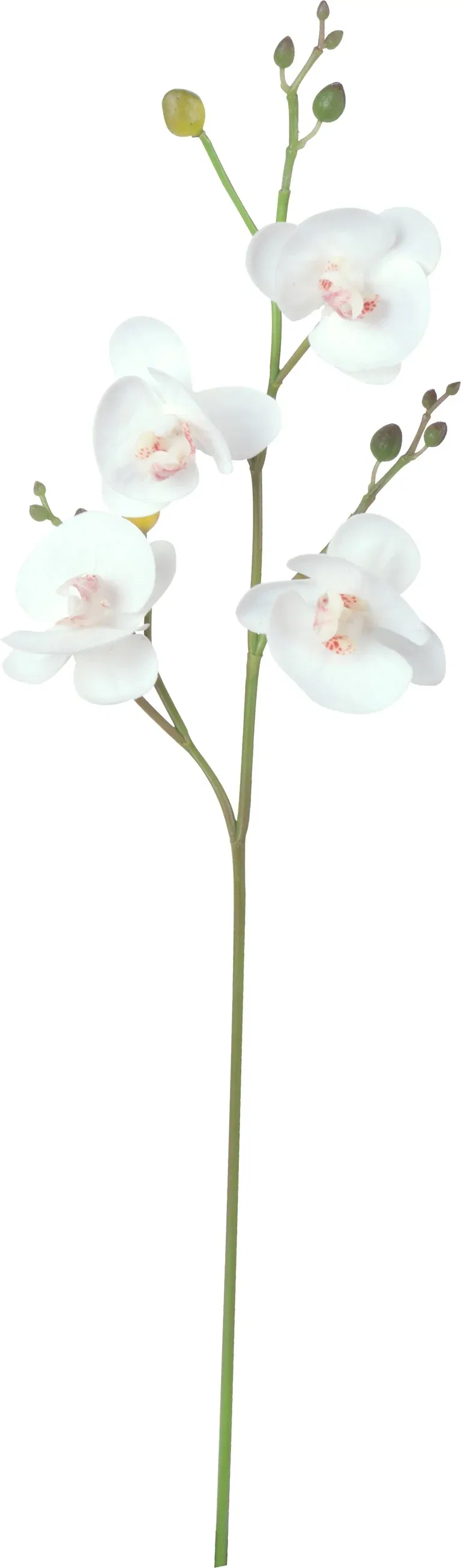 Orkidékvist konstgjord