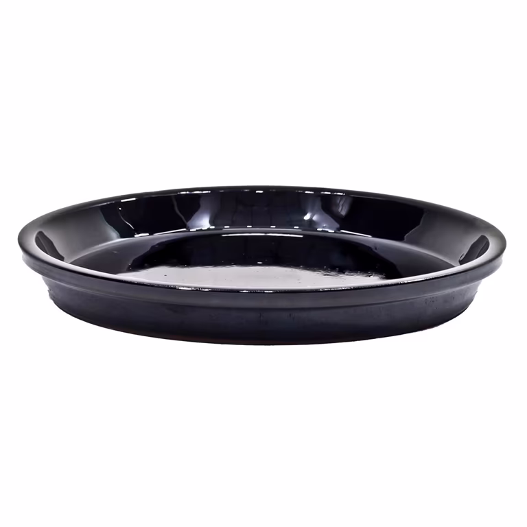 Saucer Nova