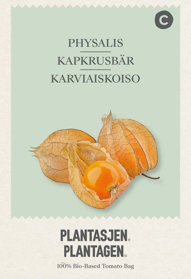 Kapkrusbär