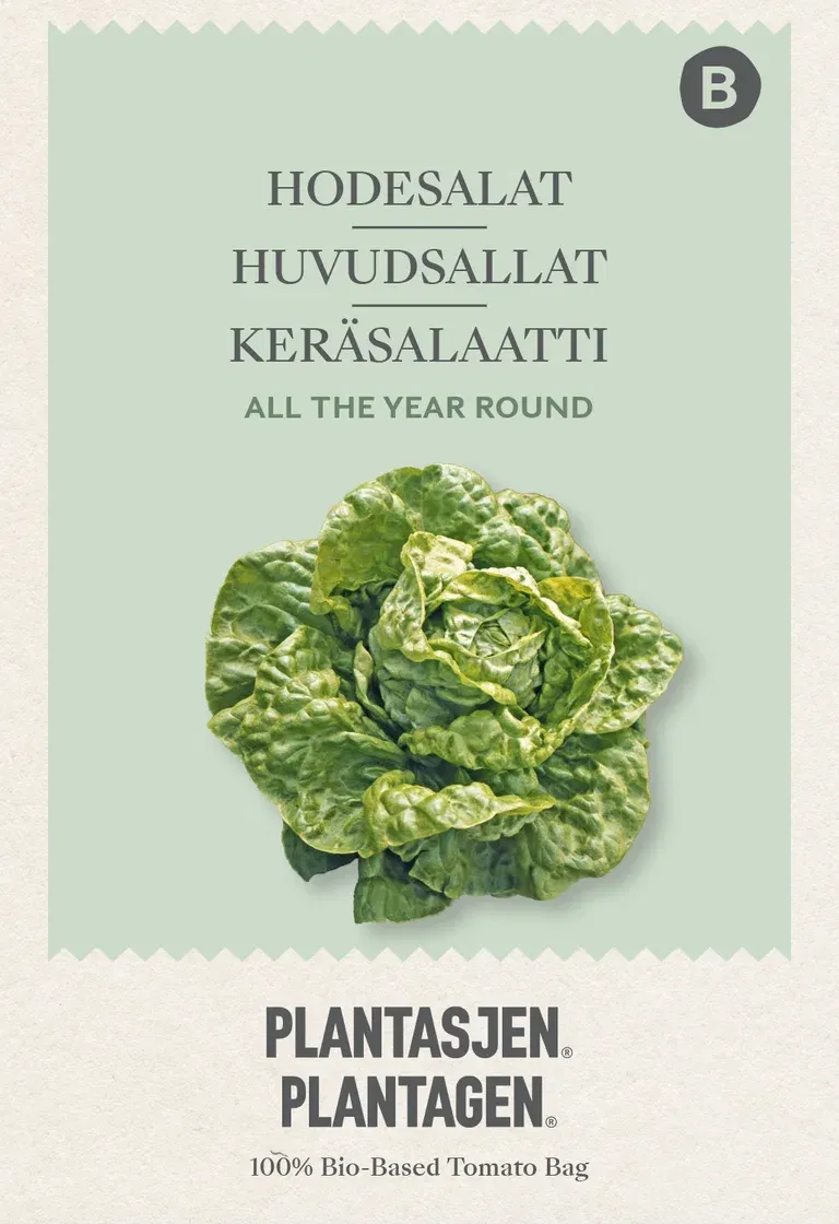 Huvudsallat All The Year Round