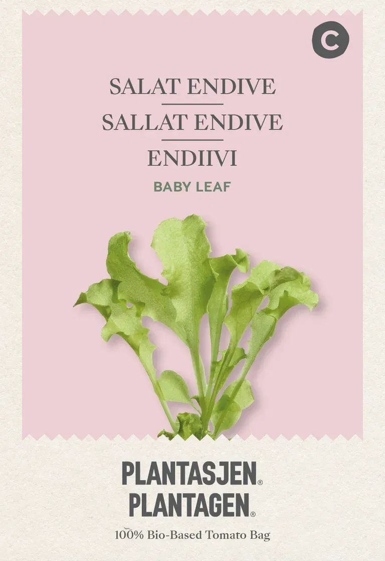 Babyleaf Sallat Endive White curled