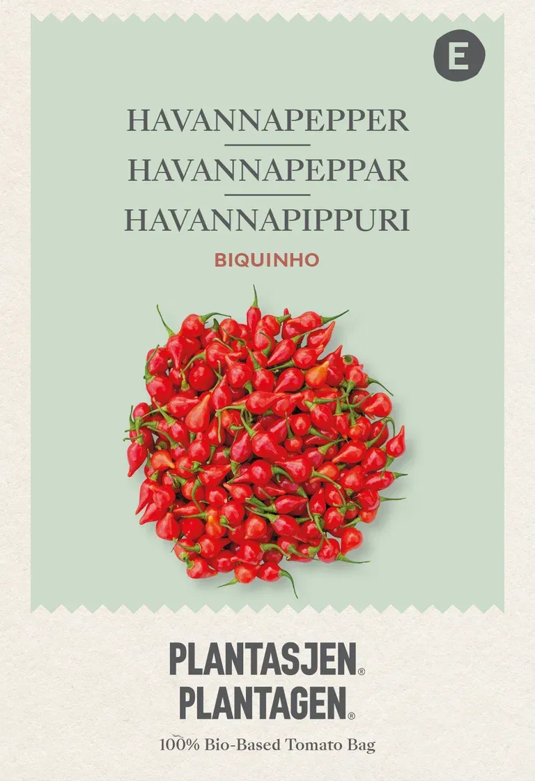 Hot pepper Biquinho - 10 sds