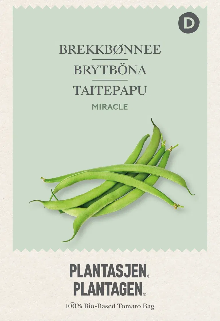 Dwarf French Bean 'Miracle'