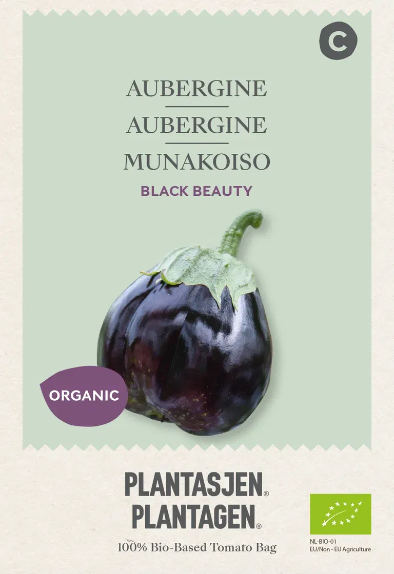 Aubergine Black Beauty - Organic
