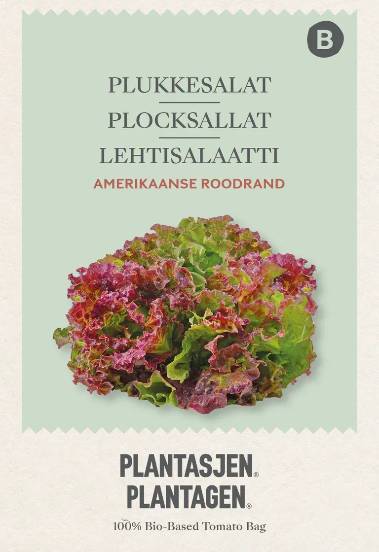 Plocksallat Amerikaanse Roodrand