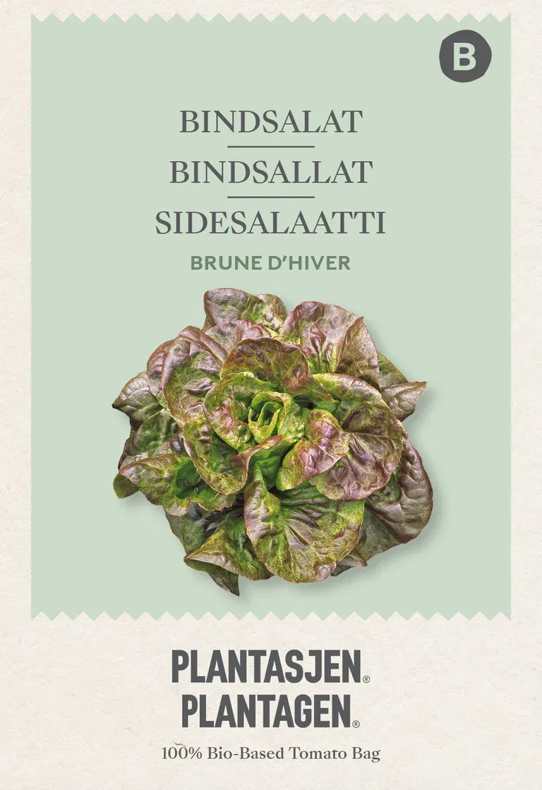 Bindsallat Brune d’hiver