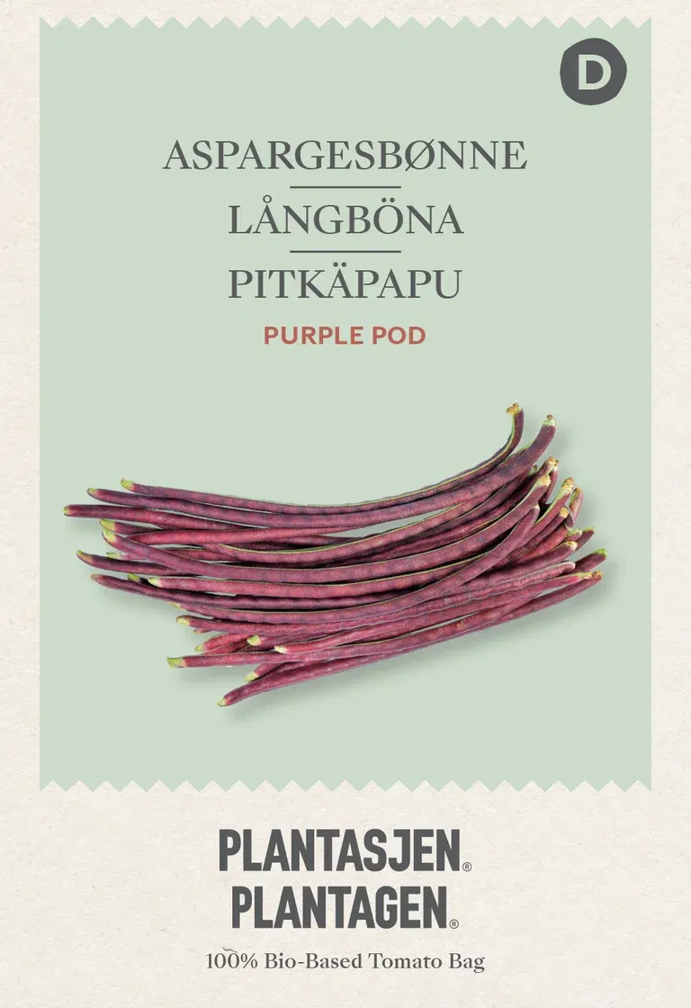 Long Yard Beans 'Purple Pod'
