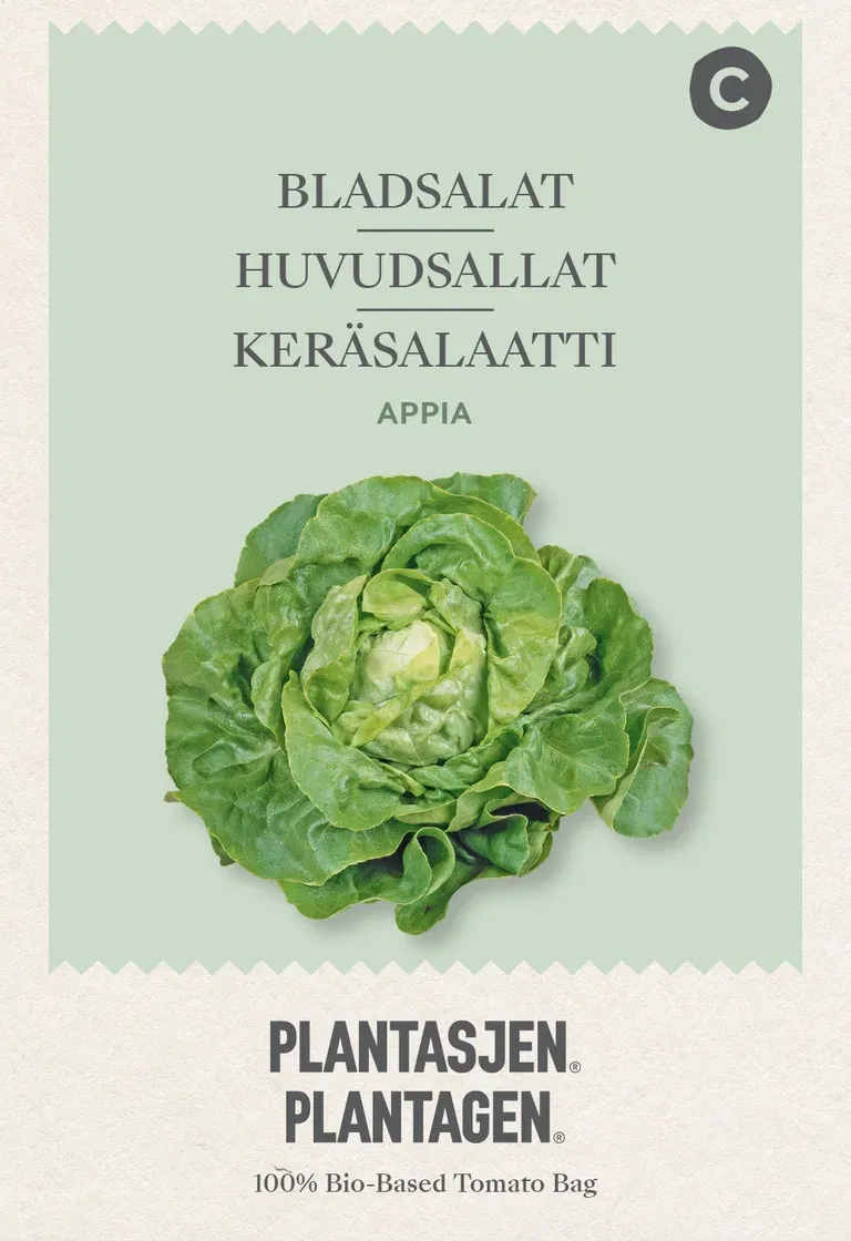 Lettuce (Butterhead) Appia