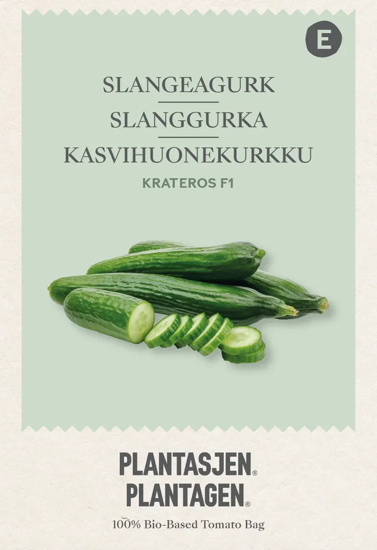 Cucumber 'Krateros' F1