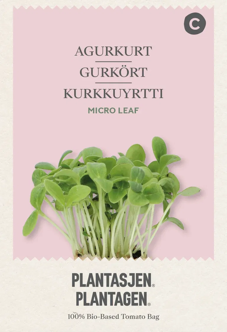 Borage - 8 g Microgreens