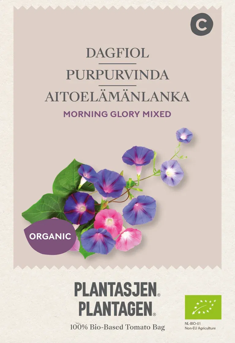 Purpurvinda Morning Glory Mixed