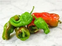 Chili 'Pimiento de Padrón'