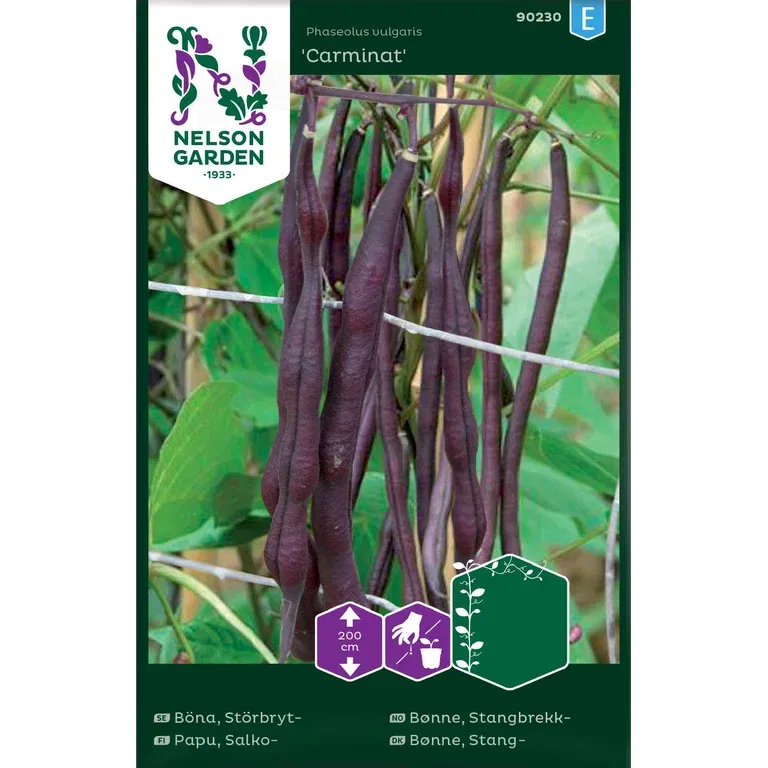 Störbrytböna 'Carminat'