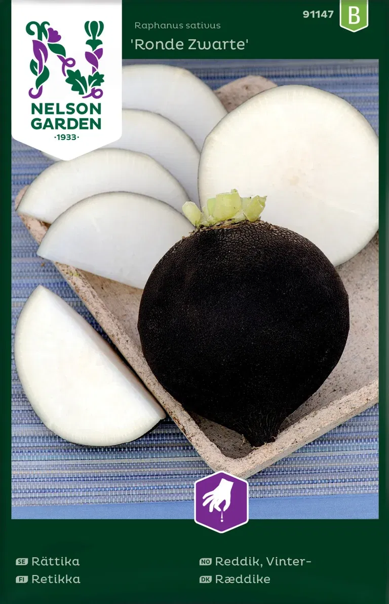 Rättika 'Ronde Zwarte'