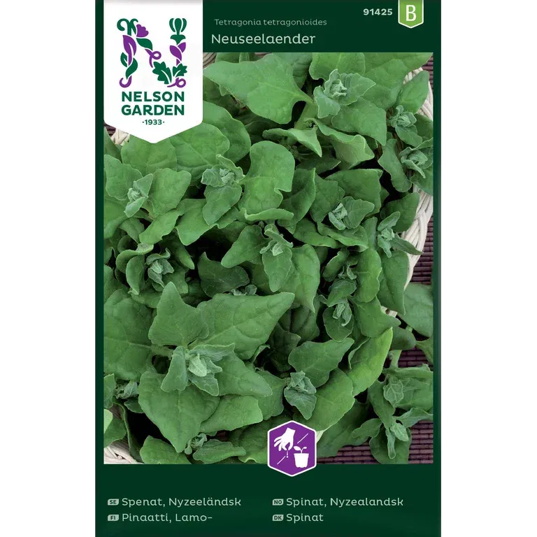 Nyzeeländsk spenat 'Neuseelaender'