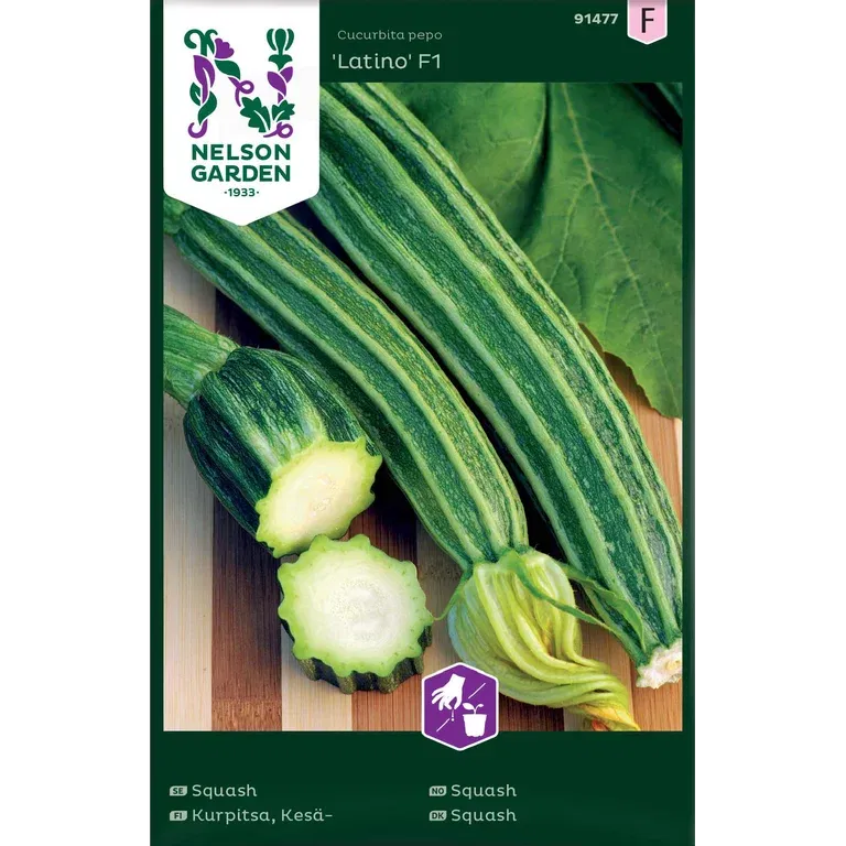 Squash 'Latino'