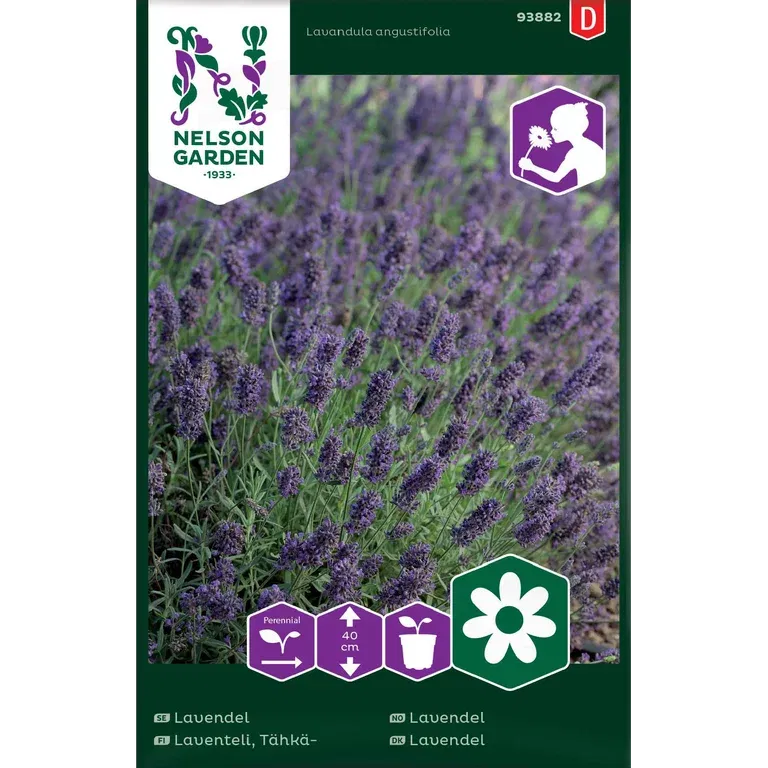 Lavendel