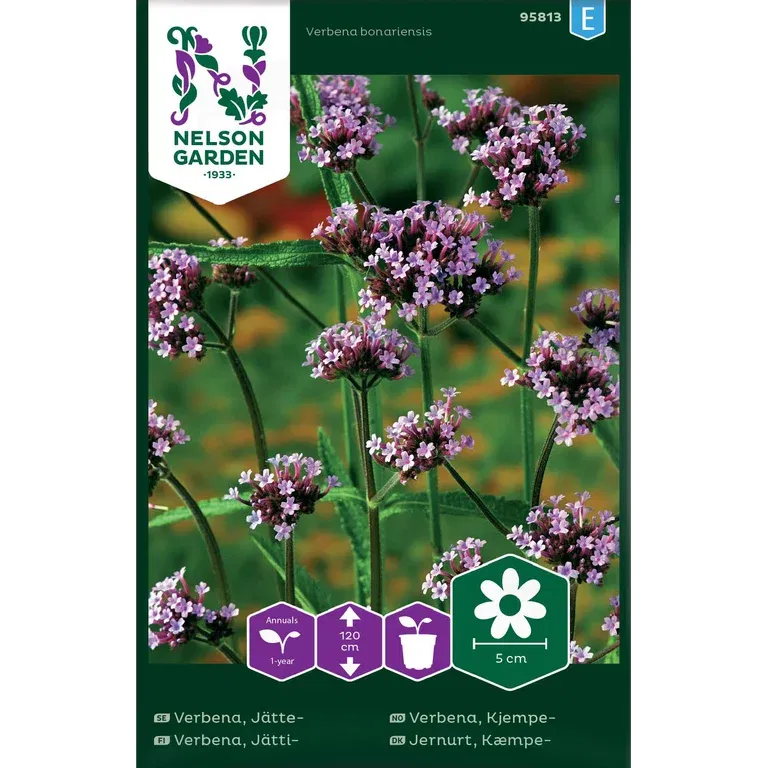 Verbena, Jätte-