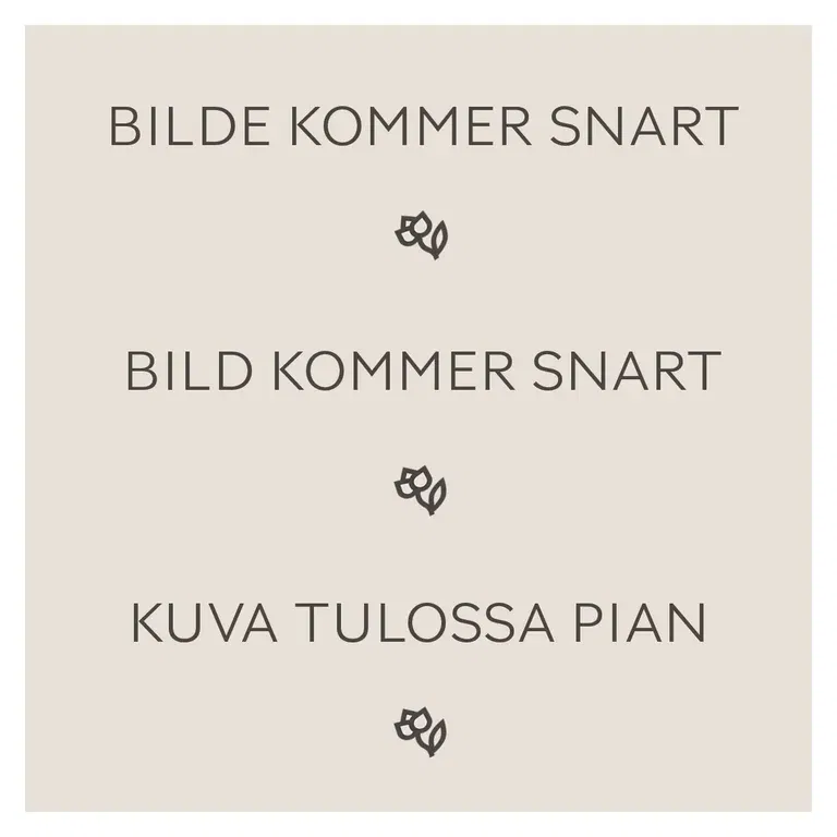 Rödlök 'Braunschweiger'