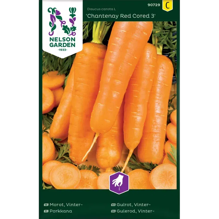 Vintermorot 'Chantenay Red Cored 3'