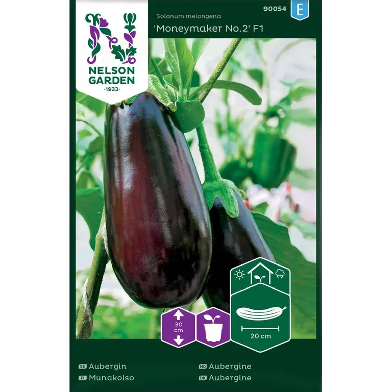 Aubergin 'Moneymaker No.2' F1