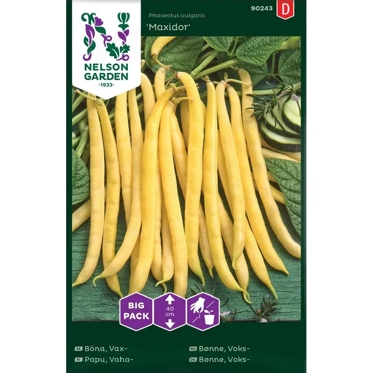 Vaxböna 'Maxidor'