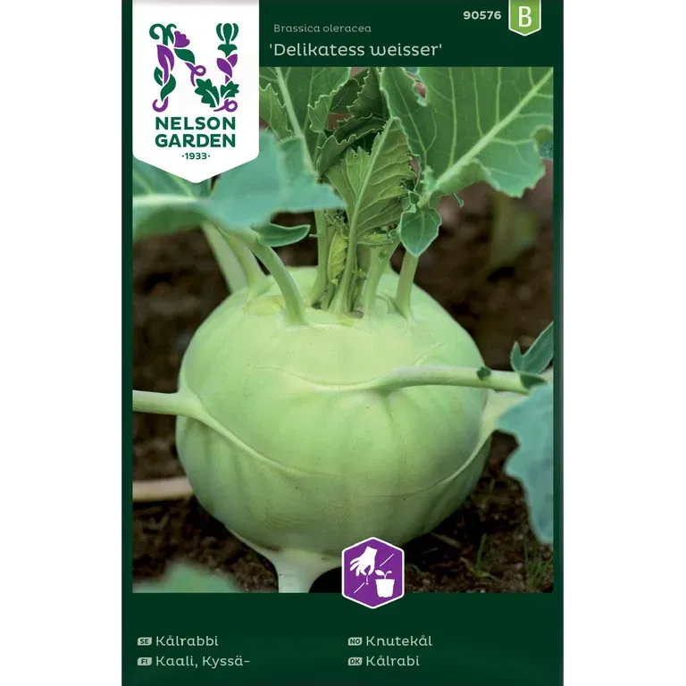 Kålrabbi 'Delikatess weisser'