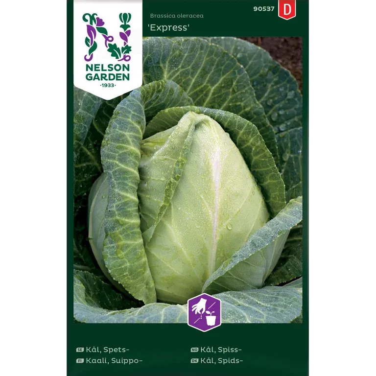 Spetskål 'Express'