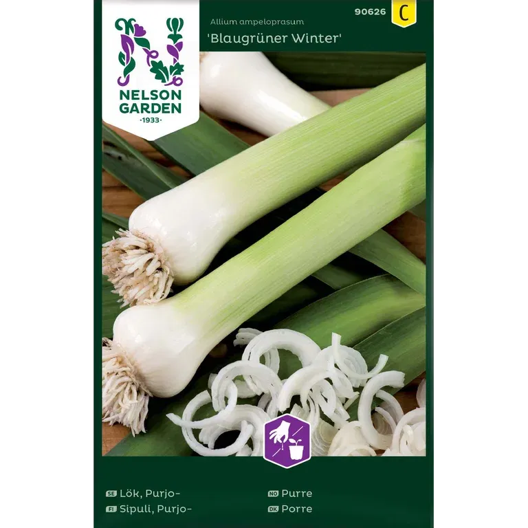 Purjolök 'Blaugrüner Winter'