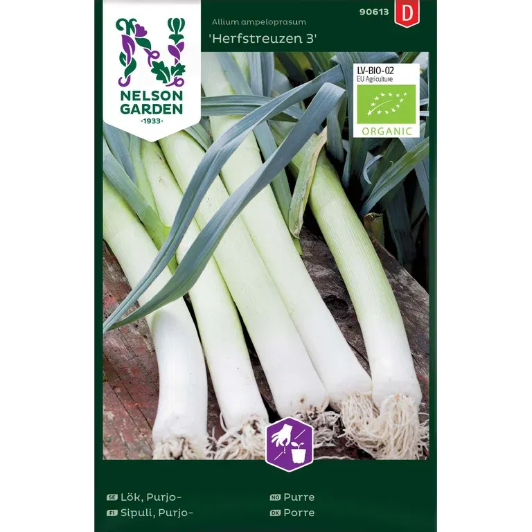 Purjolök 'Herfstreuzen 3'