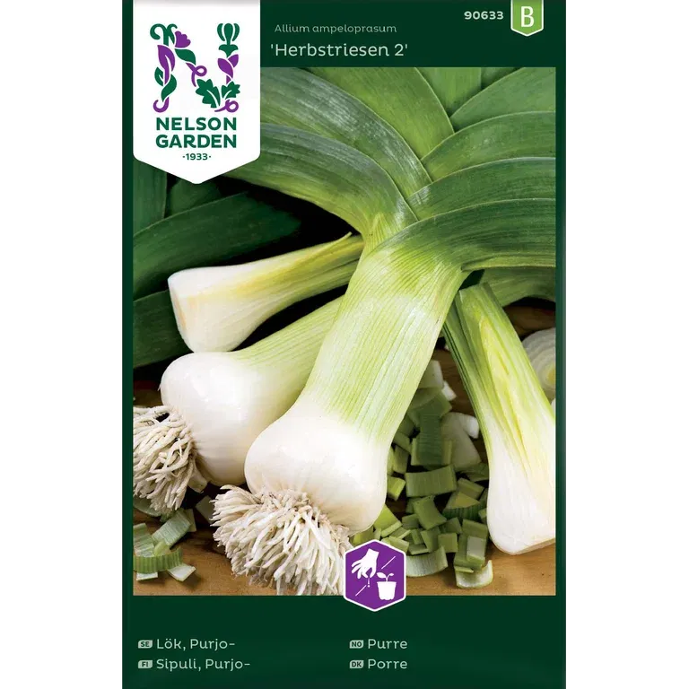 Purjolök 'Herbstriesen 2'