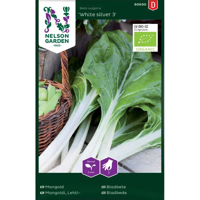 Mangold 'White silver 3'