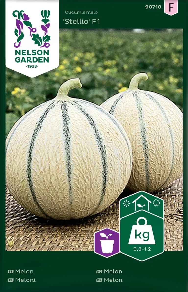 Melon 'Stellio' F1