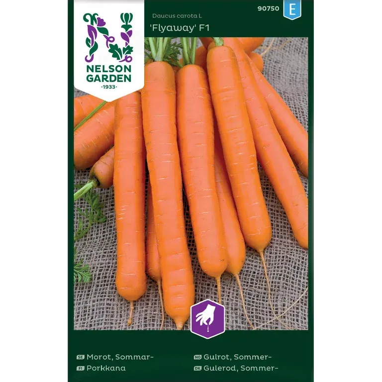 Sommarmorot 'Flyaway'