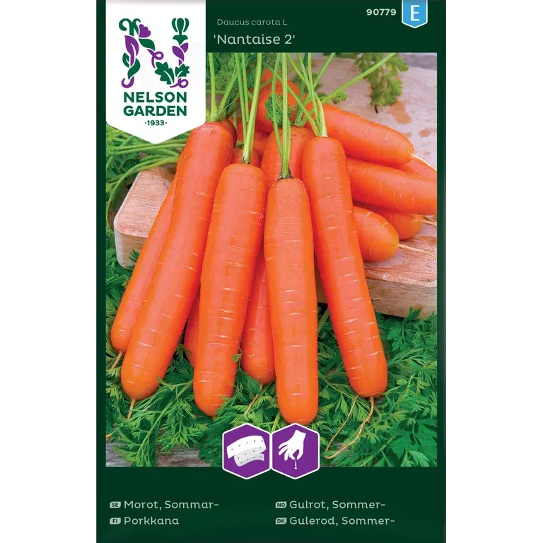 Sommarmorot 'Nantaise 2'
