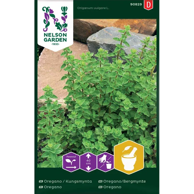 Oregano, Kungsmynta
