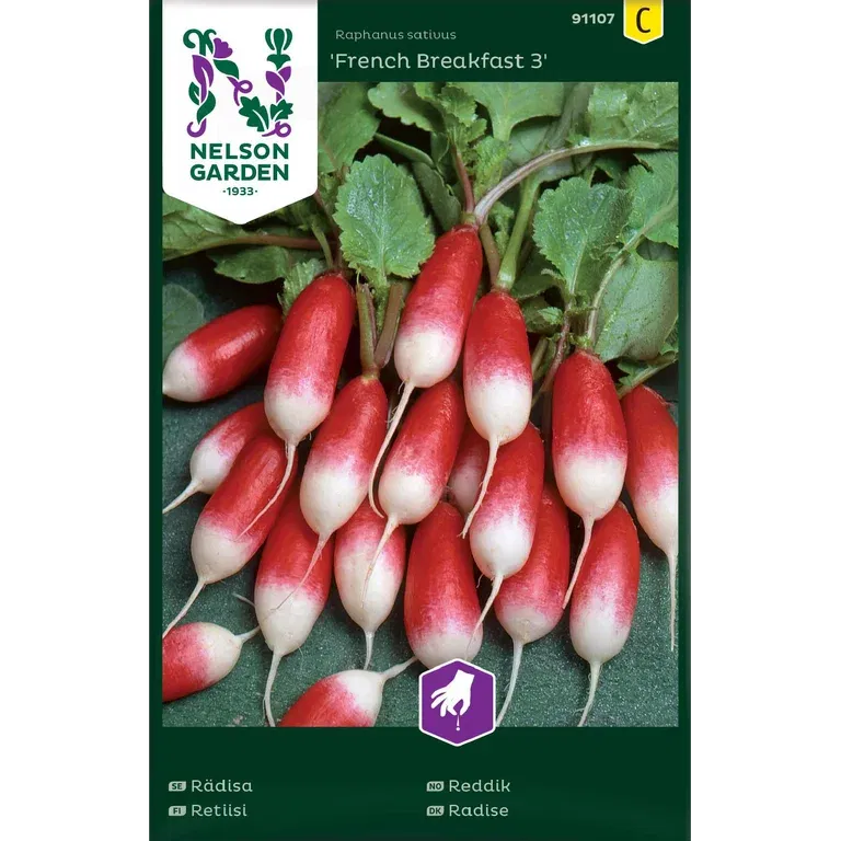 Rädisa 'French Breakfast 3'